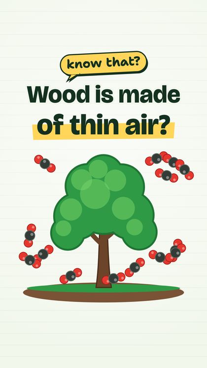 Episode cover: Wood is made of thin air?