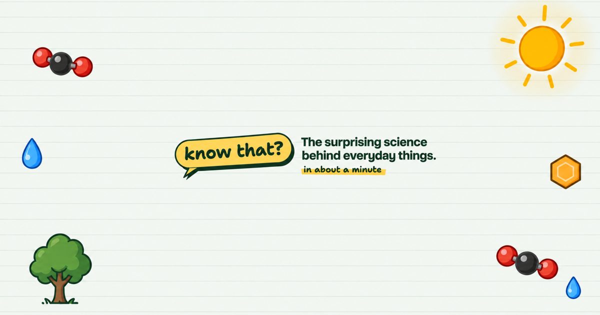 Know That? — the surprising science behind everyday things, in about a minute